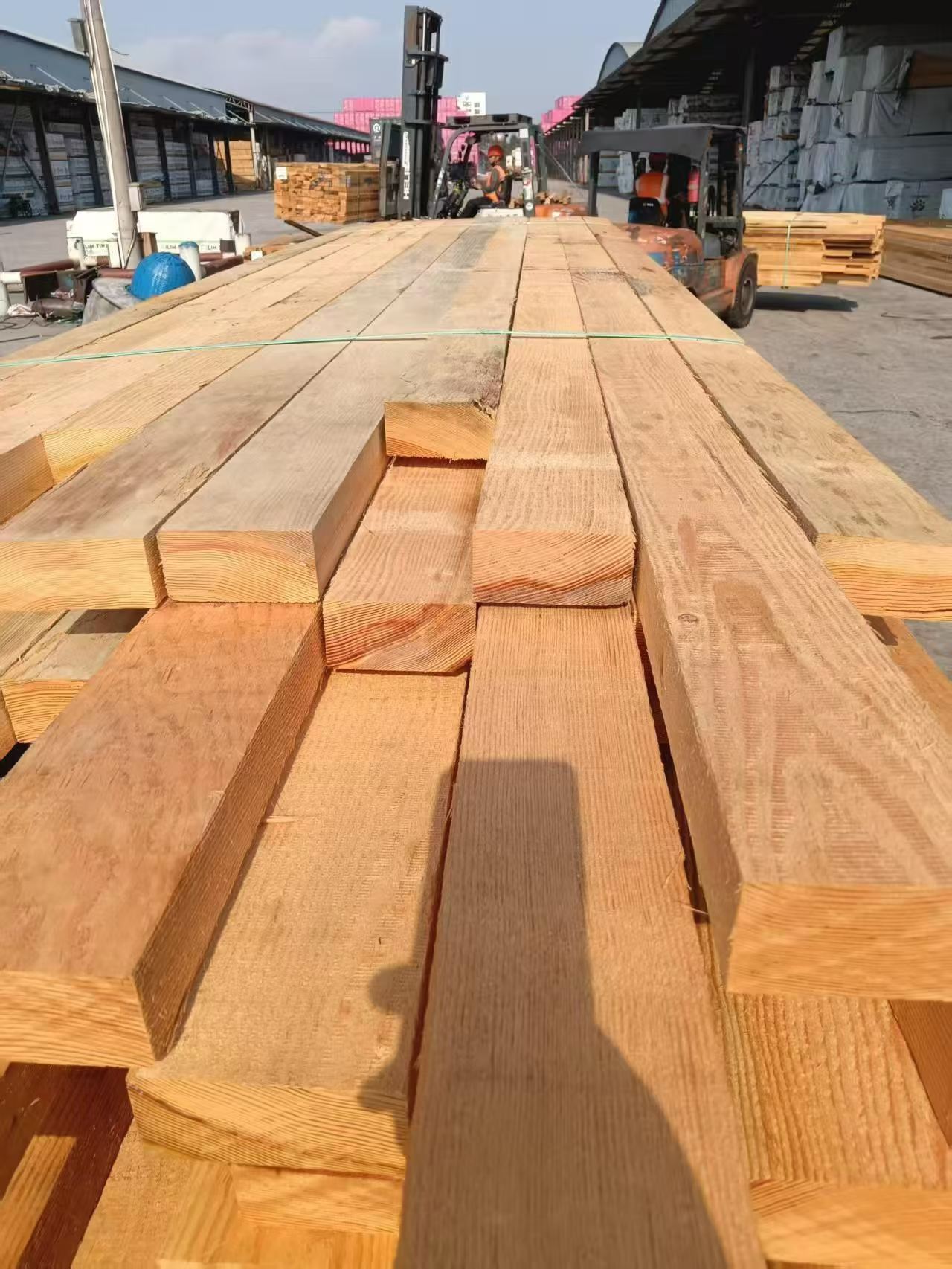 Douglas Fir