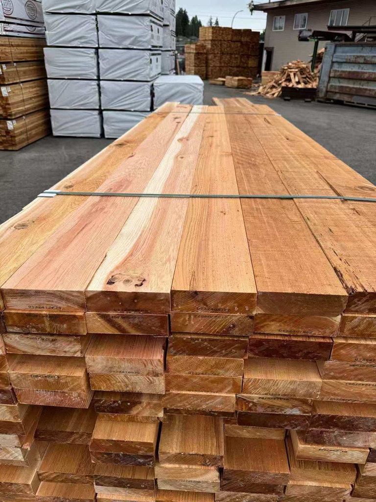 Shop Western Red Cedar example 5